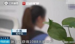 14岁上学吃瓜,从吃瓜到成长的蜕变之旅
