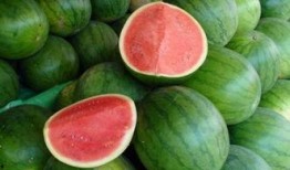 五公吃瓜,揭秘宫廷权谋与民间趣闻的传奇故事